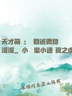 天才萌寶：總裁追妻路漫漫